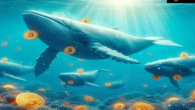 بیشتر نهنگ های بیتکوین در سال ۲۰۲۴ ظاهر خواهند شد